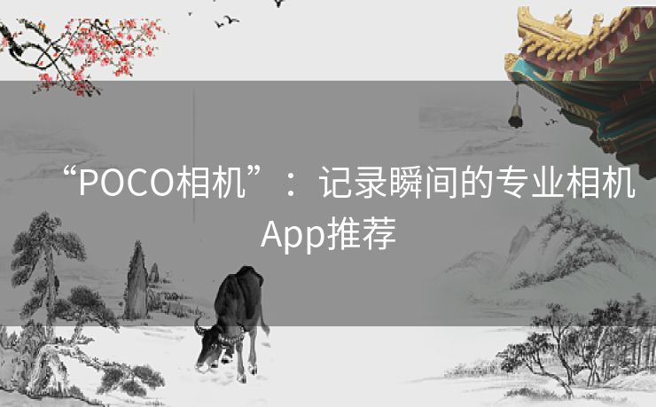 “POCO相机”：记录瞬间的专业相机App推荐