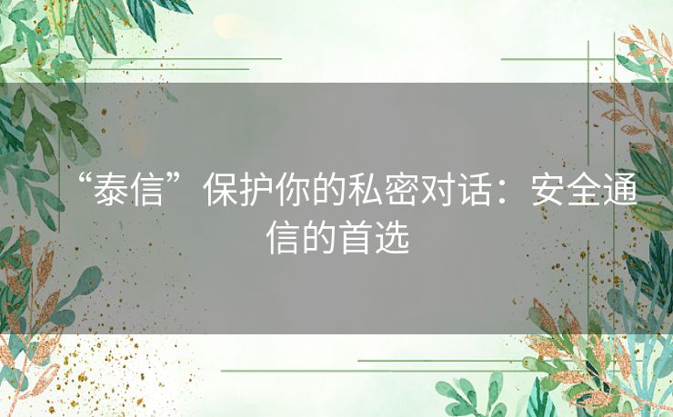 “泰信”保护你的私密对话：安全通信的首选